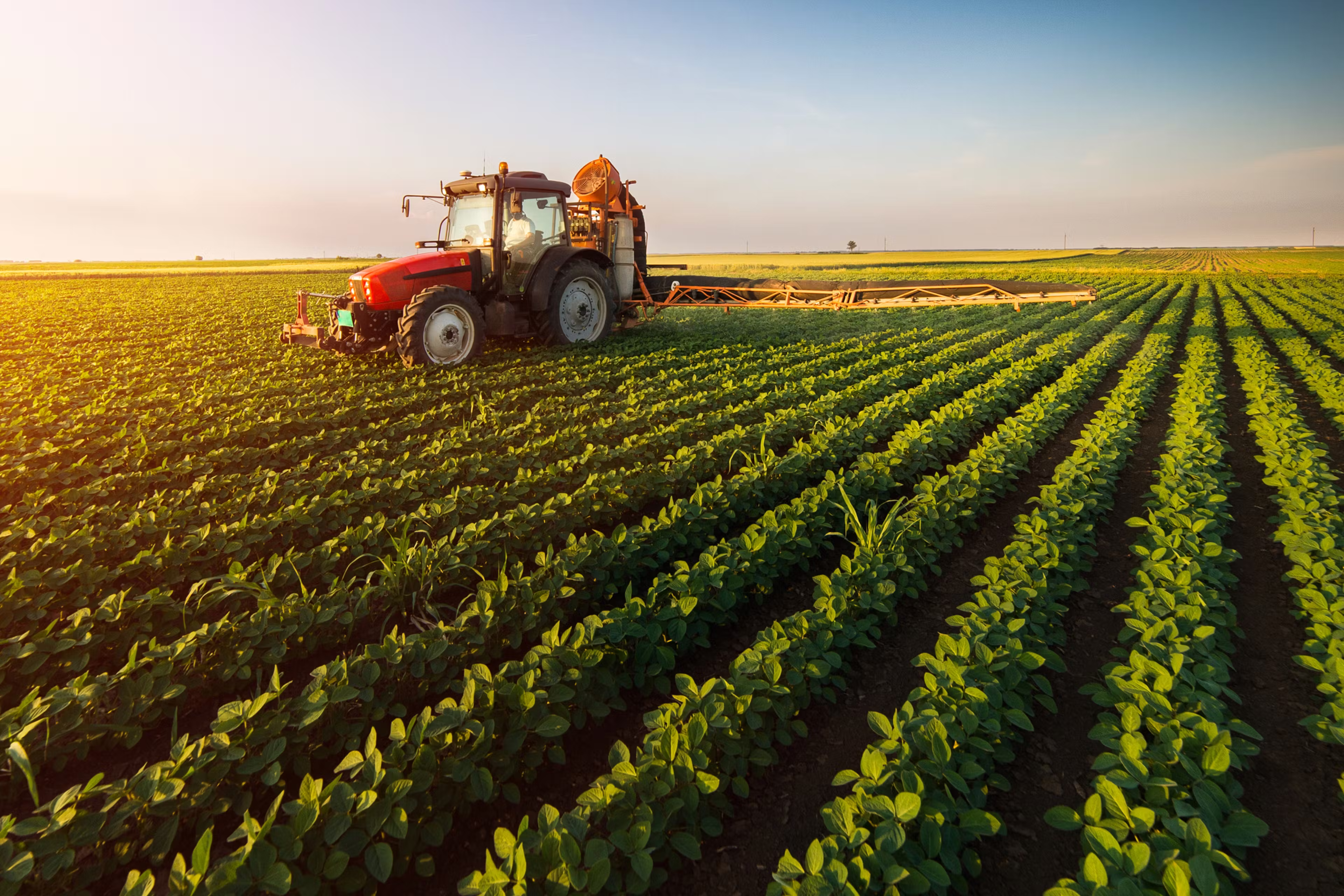 aggriculture